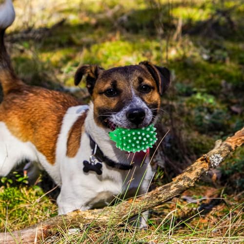 FRCOLOR Hedgehog Dog Squeaky Toys 2 Pcs Pet Molar Toys Latex Chew Toys for Puppies Interactive Teething Toys for Dental Care Cartoon Pet Toys 3.54 X 2.75 X 2.36 in