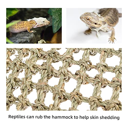 Niteangel Bearded Dragon Seagrass Hammock: Rectangle 16"x 8" & Suction Cups | Add More Climbing Space & Entertainment - Reptile Lounger for Chameleon Lizards Gecko Snakes Lguana Reptiles Tortoises - size: Rectangle 16'' x 8''