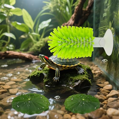 2 Pcs Turtle Brush with Suction Cups, 2 Large Decorative Duckweed, Turtle Tank Accessories, Not Easy to Peel, Shell Exfoliating Back Scrub Cleaning Brush (Green)