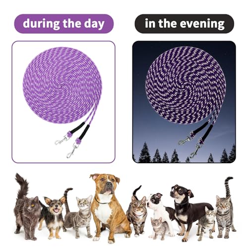 Reflective Cat Long Leash 30 FT, Outdoor Backyard Cat Tie Out Lead,Purple | Backyard Play, Reflective Nylon Rope, Dual 360° Swivel Hooks, Lightweight Cat Tie Out,Purple M, Small Pets - color: Purple, size: 30 FT