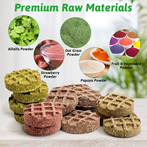 Tfwadmx 10Pcs Bunny Chew Toys Small Animal Molar Toys Natural Fruit & Veg Strawberry Papaya Oat Cake Treats Molar Teeth Rabbit Chew Toys for Guinea Pig Hamster Bunny Chinchilla