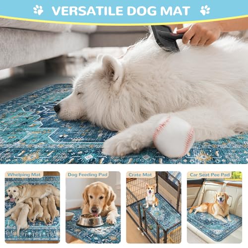 Lahome Super Absorbent Washable Pee Pads for Dogs - Secure Floor Protection - Non-Slip, Leakproof Reusable Pads for Training, Crates & Playpens (2 Pack, 36"x36", Blue) - color: Blue, size: 3FT x 3FT (Pack of 2)