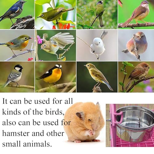 PINVNBY Stainless Steel Food Bowls for Birds,Bird Feeding Dish Cups Parrot Water Feeder Bowl with Clamp Holder Paw Grinding Perches for Budgies Parakeet Macaw Small Animal(5 Pack) - size: 【S:3.9x1.6 Inches】