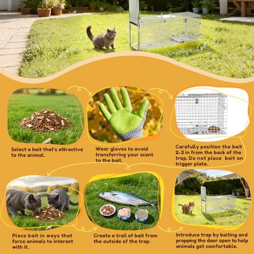 32" Heavy-Duty Folding Live Animal Trap Cage | Animal Trap Cage for Stray Cats,Raccoons,Armadillos and Rabbits