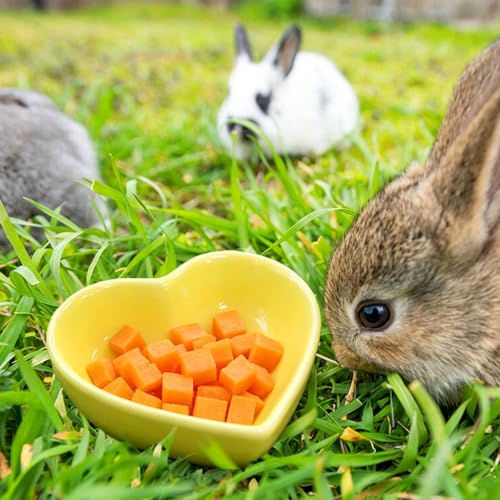Hamster Food Bowl,Hamster Cage Accessories,Hamster Water Food Pet Bowls