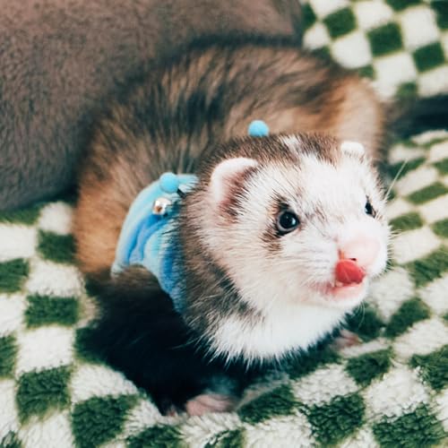 Adjustable Caterpillar Premium Plush Harness&Leaf Set – Soft Restriction-Free Vest for Ferrets,Guinea Pigs, Lizards, Rabbits,Squirrel, Kittens,Teacup Chihuahuas, Puppies|Safety Bell(Caterpillar-Blue) - color: Caterpillar-Blue