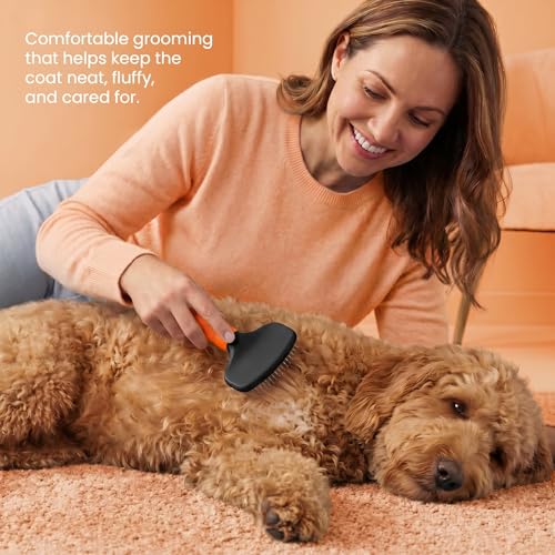 Poodle Pet Slicker Brush - For Dogs, Cats, Rabbits - Matted/Loose Fur, Knots - Suitable for Doodle/Goldendoodle Grooming and Shredding Short/Long Hair (Orange) - color: Orange, size: Regular Size