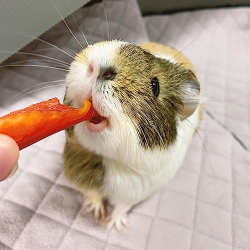 GuineaDad Premium Liner – Fleece Guinea Pig Cage Liner – Ultra-Plush Reusable Fleece Bedding with Waterproof Bottom – (Blush)