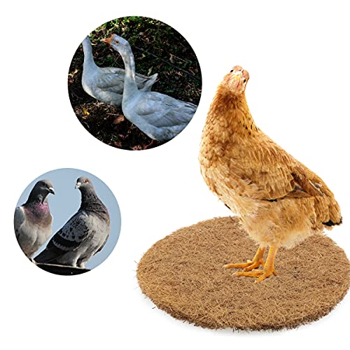 4pcs Breathable Dry Grass Mattress 215x10mm Bird Nesting Pads Natural Fiber Parrots Breeding Nests Bird Eggs Mat for Birds
