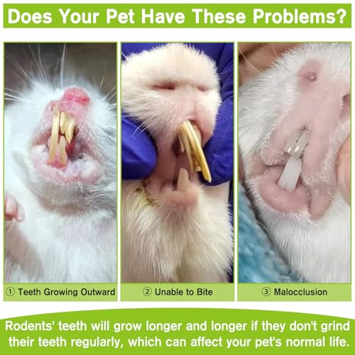 Fhiny Hamster Chew Toys for Teeth, 12 PCS Peapods Shaped Guinea Pig Snacks Natural Timothy Grass Carrot Rabbit Treats Handmade Small Animal Food for Bunny Chinchilla Gerbil Molaring - size: 12 PCS