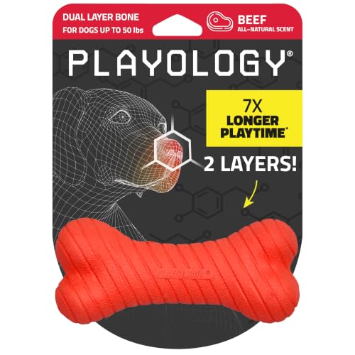 Playology Dual Layer Bone Dog Chew Toy - Medium, Beef Scent | Rubber Construction, All Natural Scent, Heavy Duty Design - size: Medium, style: Beef