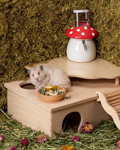 Niteangel Hamster Snack & Treats Toy: - Small Animal Natural Treat Mix for Dwarf Syrian Robo Hamsters Gerbils Mice Lemmings Degus or Other Small-Sized Pets (Vegetable Combo - 40g)