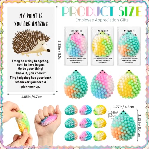 HyDren 60 Set Inspirational Hedgehog Stress Ball Gift Bulk Postive Cards | Back to School Gifts, Squeeze Stress Relief Ball, Motivational Card, Fidget Toys for Coworker, Adult, Employee Appreciation - style: Hedgehog
