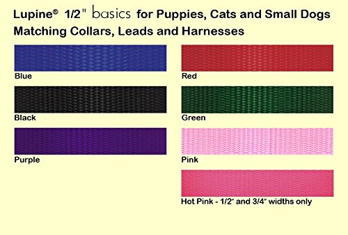 LupinePet Basics 1/2" Pink 6-foot Padded Handle Leash for Small Pets - size: Leash - 1/2"W; 6-Foot