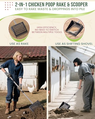 2-in-1 Chicken Poop Scooper & Rake - 10” Metal Chicken Poop Sifter Shovel with Fine Mesh, Pooper Scooper for Sand - Adjustable 39–67” Stainless Steel Handle, Animal Waste & Coop Cleaning Tool