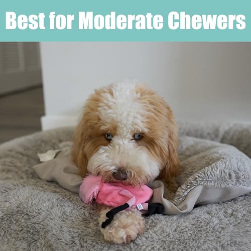 SPOT Skinneeez Flamingo 13 Inch Stuffing-Free Plush Squeaky Dog Toy – Soft Interactive Chew Toy for Small and Medium Dogs – Mess-Free Play for Light & Moderate Chewers - style: Mini Flamingo