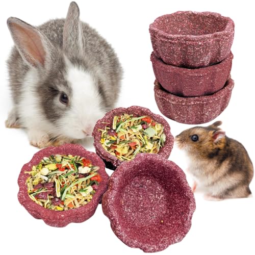 6 Pack Rabbit Chew Toys for Teeth Edible Timothy Hay Chewing Bowl Natural Guinea Pig Toys Small Animal Molar Treats for Bunny Chinchilla Mice Hamster (Purple) - color: Purple