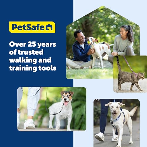 PetSafe Come with Me Kitty Harness and Bungee Cat Leash, Royal Blue, Medium | Adjustable 2-Point Fit Applies Gentle Pressure to Shoulders, Not Neck, for Small & Average Cats with 10.5 in - 14 in Girth - color: Royal Blue, size: Medium (Pack of 1)