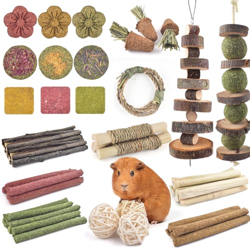 ERKOON 70PCS Rabbit Chew Toys, Natural Timothy Grass Cakes Guinea Pig Toys, Small Animal Teeth Grinding Treats for Bunny Hamster Chinchilla, Safe Dental Care Snacks - size: 70