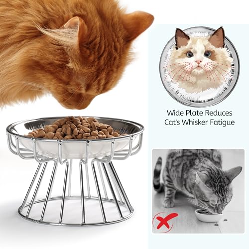 Cat Bowls, Elevated Bowl, Raised Ceramic Dish with Metal Stand, Pet Water or Food Feeding Station for Indoor Cats, Kitten,Dishwash Safe - color: Glossy Sliver
