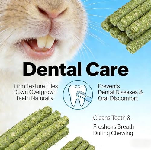 29PCS Chew Treat Rabbit Toys for Teeth Health | Natural Bunny Enrichment Toys for Boredom & Stress Relief, Keep Busy Toys for Guinea Pig Chinchilla Hamster Rat Gerbil Degu - color: 29Pcs Timothy grass