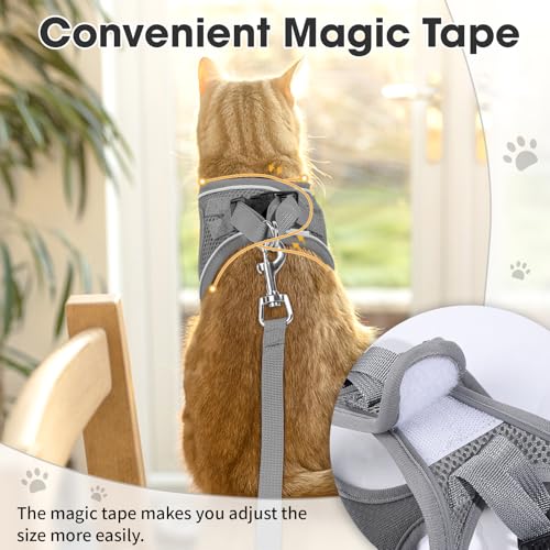 Cat Vest Harness and Leash Set, Escape Proof Kitten Harness Grey XS | Safe Reflective Strips, Adjustable Easy Wear Kitty Harness, Sturdy Clip Buckle, Breathable Mesh , for Kitty Puppy Bunny Walks - color: Grey, size: XS