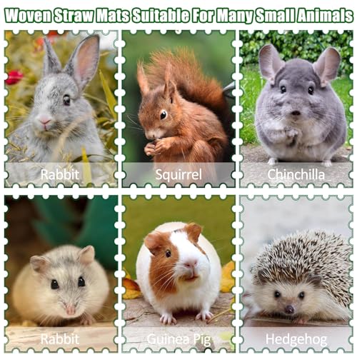 2 PCS Rabbit Grass Mats, Natural Straw Hay Woven Rabbit Bed Cage Mats Pet Handmade Bedding, Sleeping Chewing Nesting and Toys for Hamster Bunny Chinchilla Bird and Other Small Animal (2Pcs)