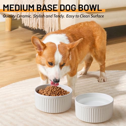 Non-Slip Ceramic Dog Bowls,6" Dog Food and Water Bowl Set with Silicone Base, 32oz/4cups Weighted Flip-Proof Pet Feeding Bowl for Medium Dogs (Medium,White) - color: White, size: 4 Cups