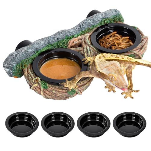 REPTI ZOO Magnetic Reptile Feeding Ledge, Gecko Feeder Ledge with 4PCS Cups, Hollow Vine Food Dish, Reptile Water Bowl for Bearded Dragon Lizard Snake Turtle, Terrarium Tank Accessories - size: Magnetic- Dual Feeder