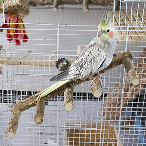 2 Pack Bird Ladder Perch for Cage, Parrot Perch Stand Toys, Natural Prickly Ash Wood Climbing Ladder, Cage Accessories for Small to Medium Birds Parakeets Cockatiels Rats Hamsters