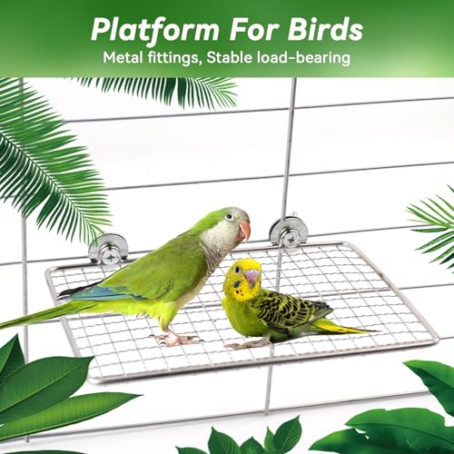Platform Perch for Parrots,7.87 x 5.90 Inch Bird Flat Perches Stainless Steel Budgie Stand Shelf Rectangle Anti-Chewing Bird Cage Accessories for Small Cockatiel Budgie