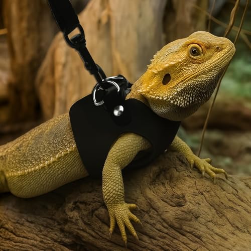 3Size Black Bearded Dragon Leash and Harness Set with Lizard Traction Rope | for Reptile, lizard leash/ squirrel harness/ Small Rabbit traction rope (S, M, L)