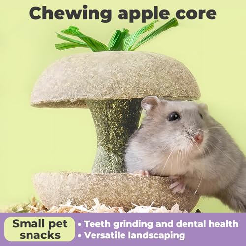 mini&moe Hamster Chew Toys for Teeth - Guinea Pig Chew Toys for Teeth Food Chews Treats Hamster Cage Accessories for Rabbit, Bunny, Chinchilla, Rat and Small Animal 3.1in Apple Core Shaped