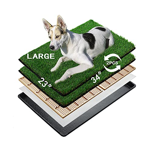 MEEXPAWS Dog Grass Pee Pads for Dogs with Tray | Large 34×23 in | 2× Dog Artificial Grass Pads Replacement| Rapid Drainage | Indoor Litter Box | Hemmed Edge - size: Large - 34 x 23 inch