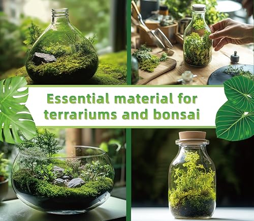 Live Moss for Terrarium Bedding & Reptile Enclosures | Moisture-Holding Layer, Humid Hide Accent, Forest-Floor Look, Easy to Trim, For Frogs, Geckos, Turtles, Snakes