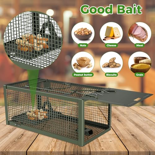 2 PCS Humane Mouse Mice Rat Traps Live Chipmunk Squirrel Animal Cage | Green Iron Galvanization, Reusable Safe for Children & Pet - color: Green