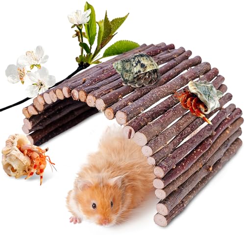 Hermit Crab Hideout,Hermit Crab Climbing Toys,Reptile Climbing Decor for Small or Medium Hermit Crab Habitat (Hermit Crabs Climb Bridges) Small Size - size: 7.87*5.9 inch
