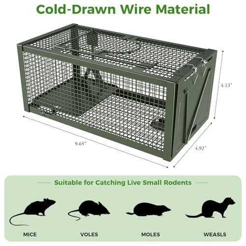 2 PCS Humane Mouse Mice Rat Traps Live Chipmunk Squirrel Animal Cage | Green Iron Galvanization, Reusable Safe for Children & Pet - color: Green
