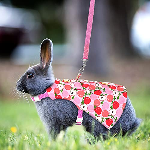 Weewooday 3 Sets Rabbit Bunny Harness and Leash Gift, Cute Bunny Clothes for Rabbits Dress Costume Walking Harness Escape Proof Pet Supply for Hedgehog Ferret Squirrel(Peach, Pineapple, Strawberry)