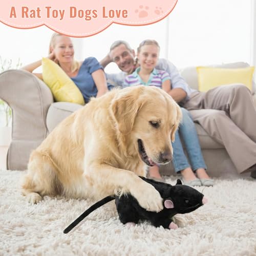 Realistic Black Rat Plush for Cats & Dogs - 12.6" Stuffed Animal Pet Toy, STEM Learning & Novelty Gift, Lifelike Mouse/Rat Plushie with Bendable Tail (Black) – Interactive Cat & Dog Toy.