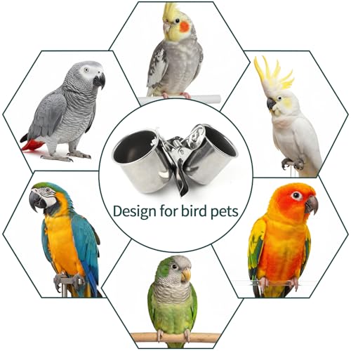 TBWHL Parrot Feeding Cups Hanging Pet Animal Stainless Steel Birdcage Bowls Bird Bowls for Cage Parakeet Birds Cage Accessories Suitable Small and Medium Bird S
