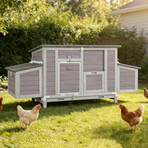 Large Chicken Coop for 4-6 Chickens with Nesting Box, Predator Proof Outdoor Hen House, Reinforced Frame, Waterproof Asphalt Roof, Easy Clean Pull-Out Tray, Ventilated Design