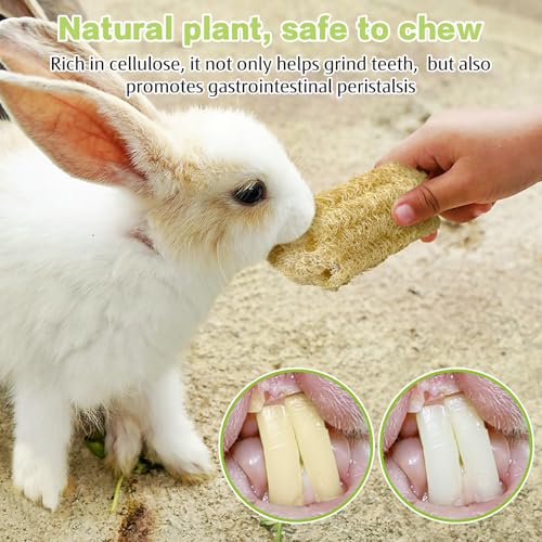 BNOSDM Bunny Chew Toys Natural Loofah 6PCS Bunny Teeth Grinding Toy Rabbit Fiber-Rich Treats Pet Entertainment Accessories for Rabbits Chinchillas Guinea Pig（L） - color: L-6PCS