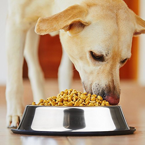 Mlife Stainless Steel Dog Bowl with Rubber Base for Small/Medium/Large Dogs, Pets Feeder Bowl and Water Bowl Perfect Choice (Set of 2) - size: 16oz