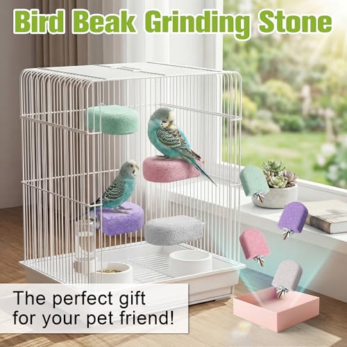 4 Pack Bird Beak Grinding Stone, Pumice Lava Ledge for Birds, Chinchillas, Hamsters, Parrots, Bird Perch Stand Climbing Ledge, Teeth & Beak Grinding Block (Short) - size: Short