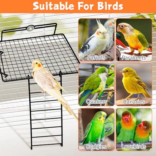 BNOSDM Bird Cage Platform Metal Climbing Ladder for Parrot Cage Accessories