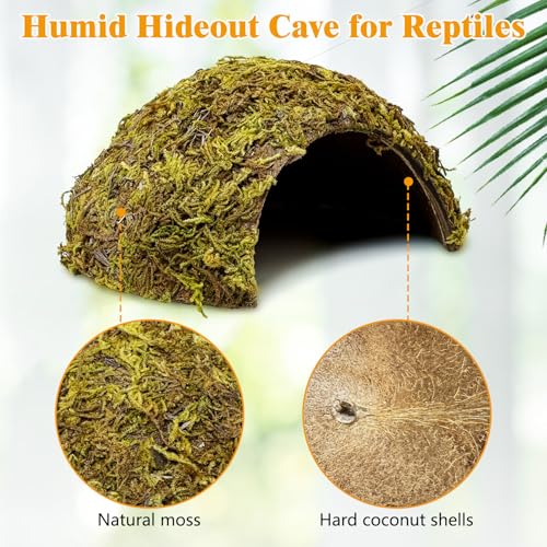 PINVNBY 2 Pack Natural Green Moss Hide Caves Coconut Reptile Hideouts Hamster Climbing Toys Gecko Habitat Decor Lizard Shell Shelter for Snake Tarantulas Turtle Chameleon - size: 2 PCS Moss Surface