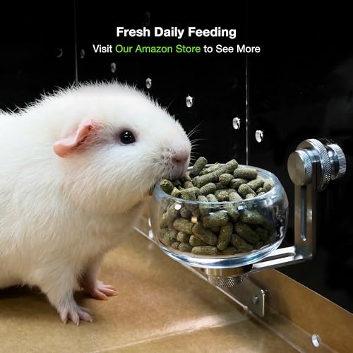 GuineaLoft™Stainless Steel Glass Feeding Bowl (3 oz, 90 ml) | Premium Modern Glass Food Cup for Birds, Hamsters & Other Small Animals- Visit The Store for More