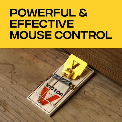 Victor Mouse Traps, 12-Pack Plastic Pedal Snap Traps, FSC Certified Wood | Indoor Rodent Control Reusable Mousetraps for Mice Pest Control Effective Instant Kill - style: 12 Plastic Pedal Traps