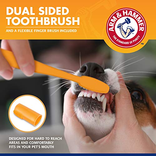 Arm & Hammer Tartar Control Dog Dental Kit, Beef Flavor, 3-Piece | Enzymatic toothpaste with toothbrush and fingerbrush, baking soda formula safe for puppies - size: 2.5 Ounce (Pack of 1)